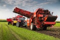 Yekaterinburg, RUSSIA - August 23, 2018: Agricultural machinery in a potato field Royalty Free Stock Photo