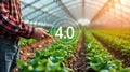 Farmer using tech in greenhouse Royalty Free Stock Photo
