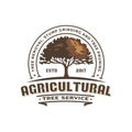 Agricultural oak tree vintage logo illustration