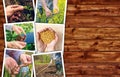 Agricultural occupation and activity collage photo Royalty Free Stock Photo