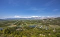 Agricultural Orchards and fields In the river delta neretva Croatia