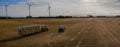 Agricultural panorama scene tractors collecting straw bales in field and loading on tractor trailer. Royalty Free Stock Photo