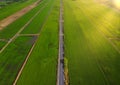 Agricultural parcels of different crops. Aerial view shoot from drone directly above field Royalty Free Stock Photo