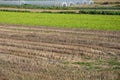 Agricultural Patchwork Field Royalty Free Stock Photo