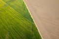 Agricultural path divides the green and brown field in spring. Aerial view