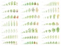 Agricultural plant, growth set animation. Bean, tomato eggplant pepper corn grain and many other. Progression growing plants.