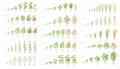 Agricultural plant, growth set animation. Cucumber tomato eggplant pepper corn grain and many other. Vector showing the