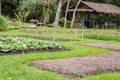 Agricultural plots