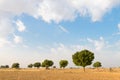 Agricultural ploughed land field in desert