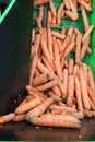 Equipment for filling carrots