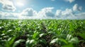 An agricultural research institute using historical data on plant growth and weather patterns to develop more efficient