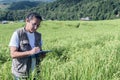 Gricultural Research Officer, middle aged Asian men are recording data of rice plants