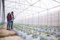 Agricultural researcher with the tablet slowly inspect plants. Young agronomists monitor the harvest.