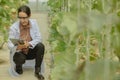Agricultural researchers develop crop calendars and workflows to enhance melon production. Grades, organizes, selects, and picks