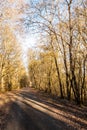 Agricultural road in the forest Royalty Free Stock Photo