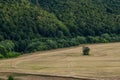 Agricultural Rolling Spring Autumn Landscape. Natural Landscape In Brown And Yellow Color. Waved Cultivated Row Field And Tree. Royalty Free Stock Photo