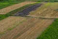 Agricultural Rolling Spring Autumn Landscape. Natural Landscape In Brown And Yellow Color. Waved Cultivated Row Field And Tree.