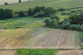 Agricultural Rolling Spring Autumn Landscape. Natural Landscape In Brown And Yellow Color. Waved Cultivated Row Field And Tree.