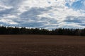 Agricultural rural background early spring landscape.white clouds blue sky over the forest in the evening background Royalty Free Stock Photo