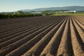 Agricultural scenery