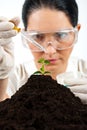 Agricultural scientist testing in laboratory Royalty Free Stock Photo