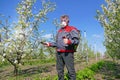 Agricultural senior worker in a blossom apple orchard spraying pesticide Royalty Free Stock Photo