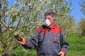 Agricultural senior worker in a blossom cherry orchard spraying pesticide