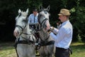 Novi Sad, Serbia, 20.05.2018 Fair, two coachman and two white horses