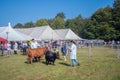 Agricultural show UK Royalty Free Stock Photo