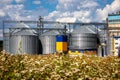 Agricultural Silos on the background of flowering buckwheat. Storage and drying of grains, wheat, corn, soy, sunflower against the Royalty Free Stock Photo