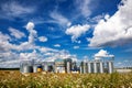 Agricultural Silos on the background of flowering buckwheat. Storage and drying of grains, wheat, corn, soy, sunflower against the Royalty Free Stock Photo