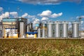 Agricultural Silos on the background of flowering buckwheat. Storage and drying of grains, wheat, corn, soy, sunflower against the Royalty Free Stock Photo