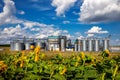 Agricultural Silos on the background of sunflowers. Storage and drying of grains, wheat, corn, soy, sunflower against the blue sky Royalty Free Stock Photo