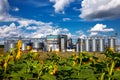 Agricultural Silos on the background of sunflowers. Storage and drying of grains, wheat, corn, soy, sunflower against the blue sky Royalty Free Stock Photo