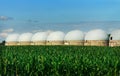 Agricultural Silos - Building Exterior, Storage and drying of grains, wheat, corn against the blue sky with rice fields. Royalty Free Stock Photo