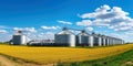 Agricultural Silos - Building Exterior, Storage and drying of grains, wheat, corn, soy, sunflower against the blue sky with rice