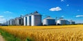 Agricultural Silos - Building Exterior, Storage and drying of grains, wheat, corn, soy, sunflower against the blue sky with rice