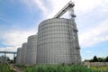 Agricultural Silos. Metal grain facility with silos.