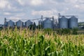 Agricultural Silos. Storage and drying of grains Royalty Free Stock Photo