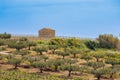 Agricultural spring landscape below the historic town of Salemi on the island of Sicily Royalty Free Stock Photo