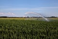 Agricultural sprinkler above a corn field in the italian countryside at sunset Royalty Free Stock Photo