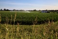 Agricultural sprinkler above a corn field in the italian countryside at sunset Royalty Free Stock Photo