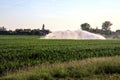 Agricultural sprinkler above a corn field in the italian countryside at sunset Royalty Free Stock Photo