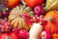 Agricultural still life from the harvest of fruits and vegetables Royalty Free Stock Photo