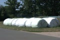 Agricultural storage lot where many bales of hay silage wrapped in foil are sitting next to a horizontal silo of silage