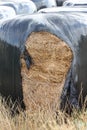 Agricultural straw bales packaged Royalty Free Stock Photo