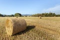 Agricultural summer landscape