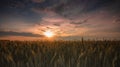Agricultural sunset Royalty Free Stock Photo