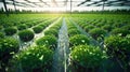 Agricultural technologies for growing plants, nature, plants and trees