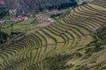 Agricultural terraces of Inca ruins of Pisac, Peru